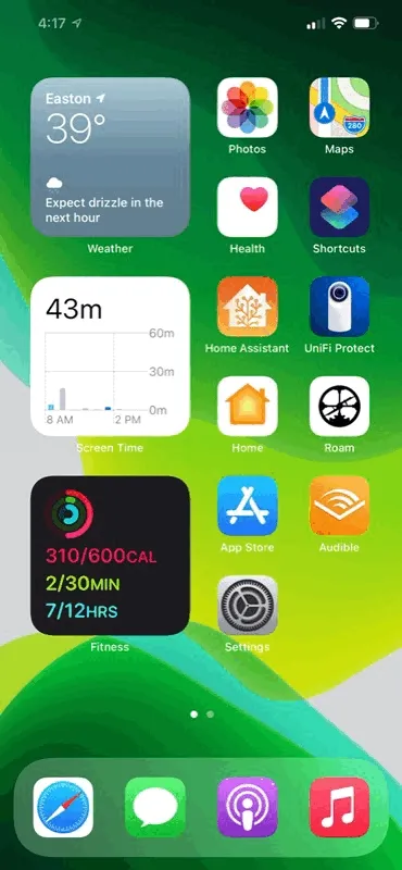 Demo of One Sec when attempting to open Twitter